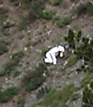 Mystery of Utah_s _goat man_ is solved - U.S. News.png