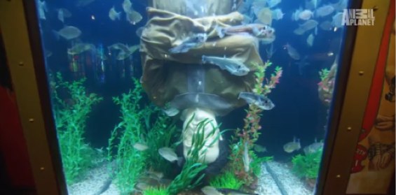 Neil Patrick Harris gets _Tanked_ | Inside TV | EW.com-1.jpg